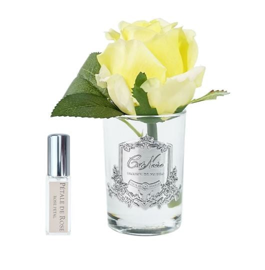 COTE NOIRE ROSE BUD - YELLOW