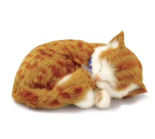 PERFECT PETZ - ORANGE TABBY CAT SOFT BUNDLE