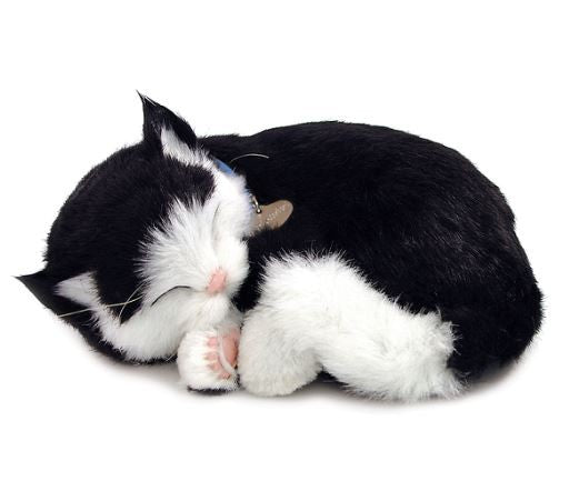 PERFECT PETZ - B&W SHORTHAIR CAT SOFT BUNDLE