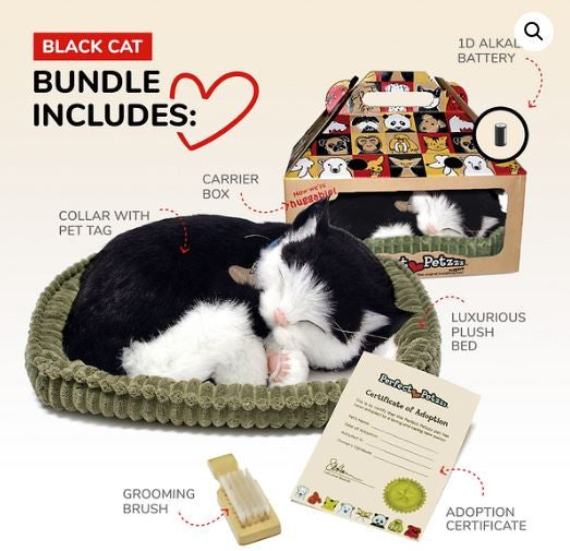 PERFECT PETZ - B&W SHORTHAIR CAT SOFT BUNDLE