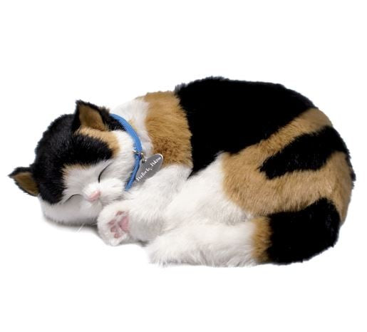 PERFECT PETZ - CALICO CAT SOFT BUNDLE