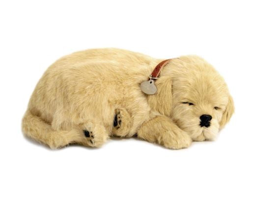 PERFECT PETZ - GOLDEN RETRIEVER SOFT BUNDLE