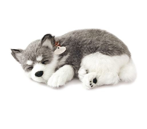PERFECT PETZ - ALASKAN HUSKY