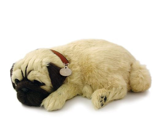 PERFECT PETZ - PUG SOFT BUNDLE