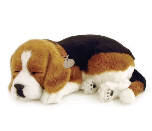 PERFECT PETZ - BEAGLE SOFT BUNDLE