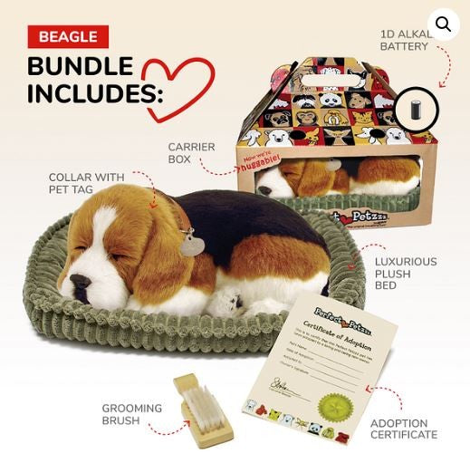 PERFECT PETZ - BEAGLE SOFT BUNDLE