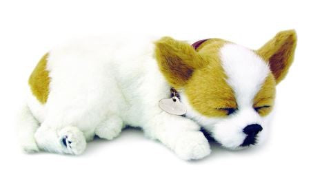 PERFECT PETZ - CHIHUAHUA SOFT BUNDLE