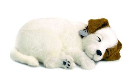 PERFECT PETZ - JACK RUSSELL SOFT BUNDLE