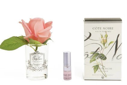COTE NOIRE ROSE BUD - WHITE PEACH