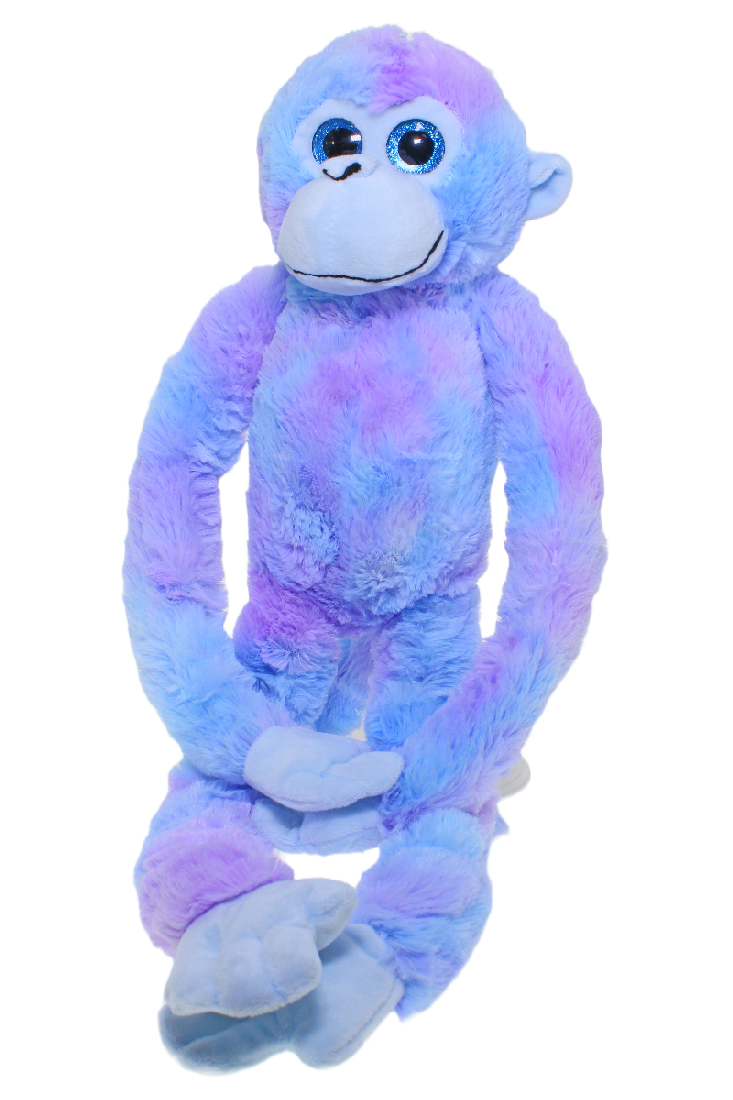 MONKEY CHARLOTTE