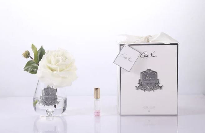 COTE NOIRE TEA ROSE - IVORY WHITE