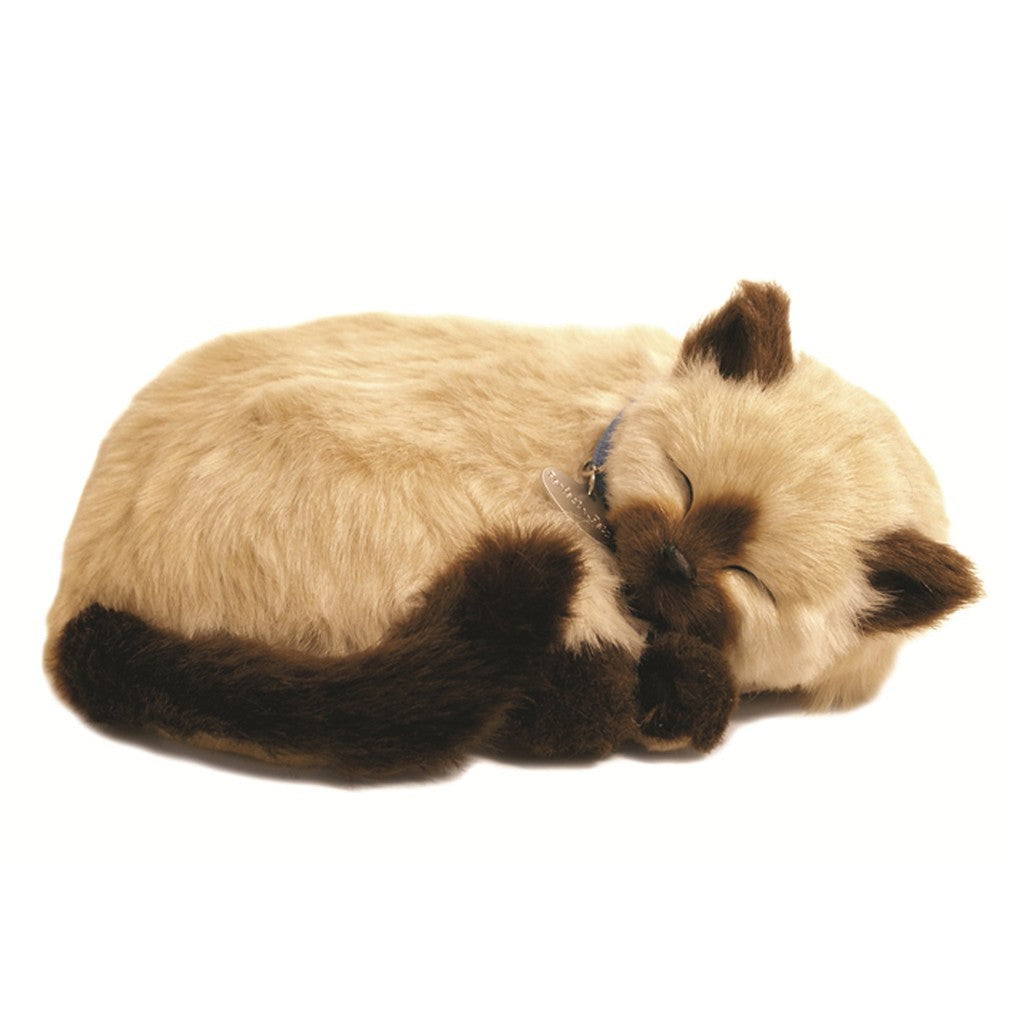 PERFECT PETZ - TAN SIAMESE CAT