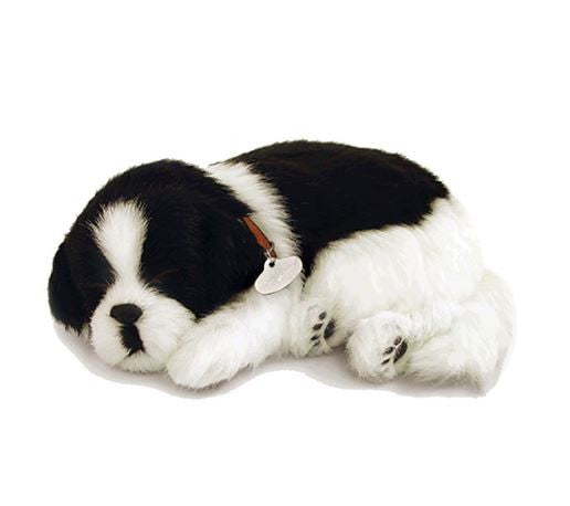 PERFECT PETZ - BORDER COLLIE SOFT BUNDLE