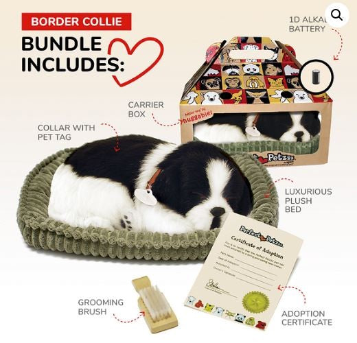 PERFECT PETZ - BORDER COLLIE SOFT BUNDLE