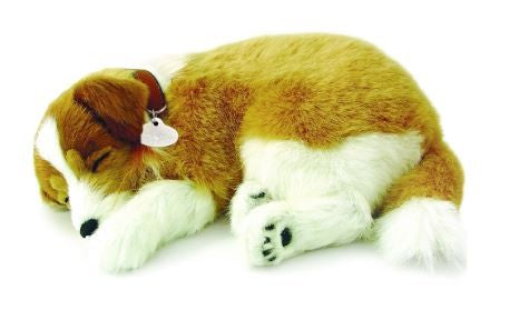 PERFECT PETZ - COLLIE SOFT BUNDLE