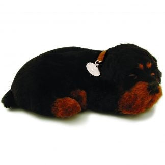 PERFECT PETZ - ROTTWEILLER SOFT BUNDLE