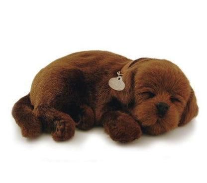 PERFECT PETZ - BROWN LABRADOR SOFT BUNDLE