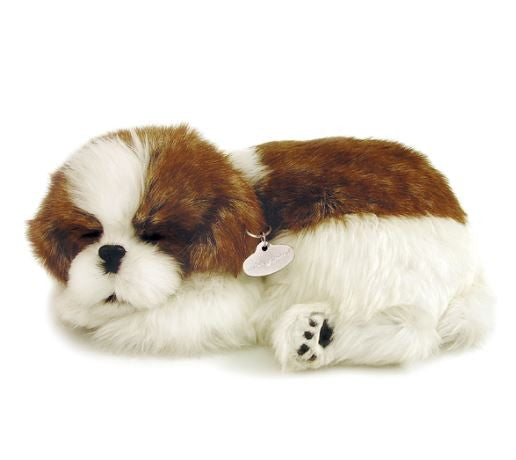 PERFECT PETZ - SHIH TZU SOFT BUNDLE
