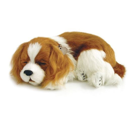 PERFECT PETZ - KING CHARLES CAVALIER SOFT BUNDLE