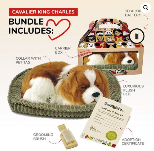 PERFECT PETZ - KING CHARLES CAVALIER SOFT BUNDLE