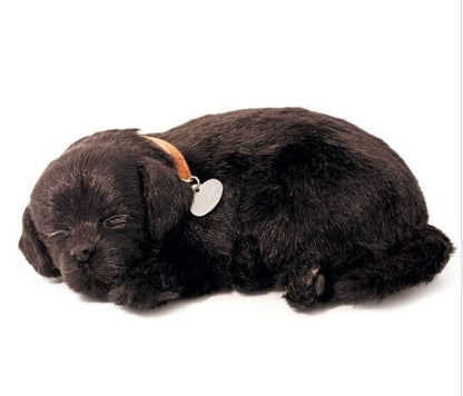 PERFECT PETZ - BLACK LABRADOR SOFT BUNDLE