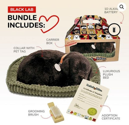 PERFECT PETZ - BLACK LABRADOR SOFT BUNDLE