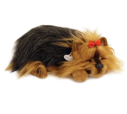 PERFECT PETZ - YORKIE SOFT BUNDLE