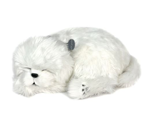 PERFECT PETZ - MALTESE SOFT BUNDLE