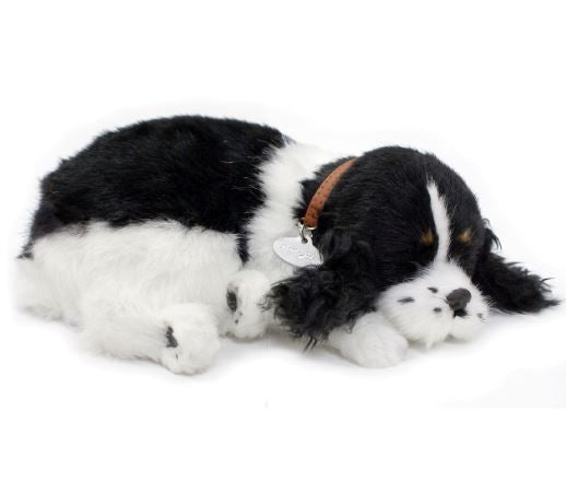 PERFECT PETZ - COCKER SPANIEL SOFT BUNDLE