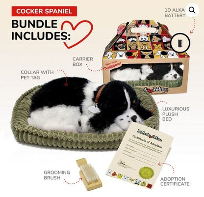 PERFECT PETZ - COCKER SPANIEL SOFT BUNDLE