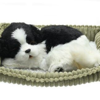 PERFECT PETZ WAG TAIL - BORDER COLLIE