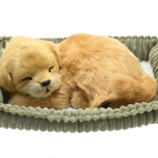 PERFECT PETZ WAG TAIL - GOLDEN RETRIEVER