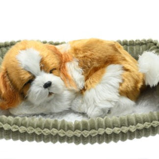 PERFECT PETZ WAG TAIL - KING CHARLES CAVALIER