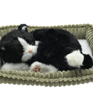PERFECT PETZ WAG TAIL - BLACK & WHITE SHORTHAIR CAT
