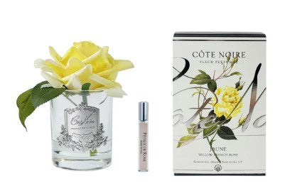 COTE NOIRE SINGLE ROSE - YELLOW