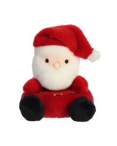 PALM PAL - SANTA CLAUS